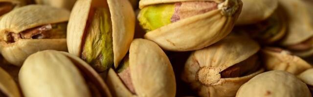 Cene pistaća najviša u poslednjih osam godina zbog rata na Bliskom istoku