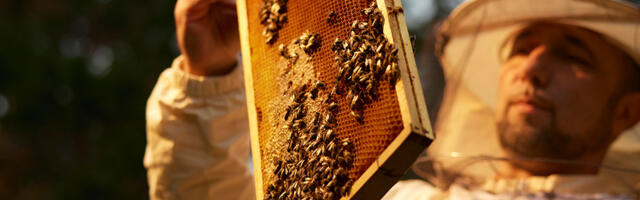 Vi znate za šta štedite, a AikBank pruža fleksibilnost