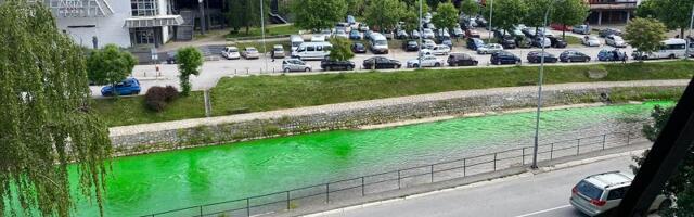 Đetinja obojena šamponom za pranje automobila
