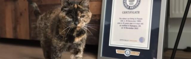 VIDEO: Najstarija mačka na svetu proslavila 30. rođendan