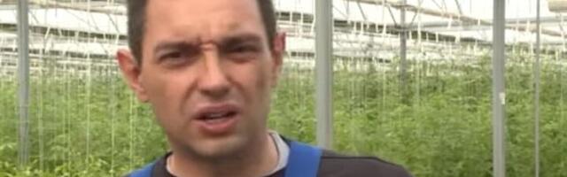 Ljubodrag Stojadinović: Sve Vulinove revolucije