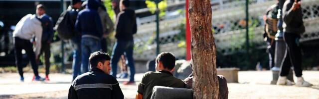 Poručim hranu, oni mi pošalju nekog Muzafera - Beograđanka koja neće da uzme porudžbinu jer je donosi migrant je poraz društva