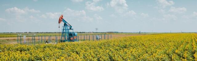 Kompanija NIS objavila izveštaj o održivom razvoju 2023. godine: Razvoj poslovanja uz doprinos napretku zajednice i zaštiti životne sredine