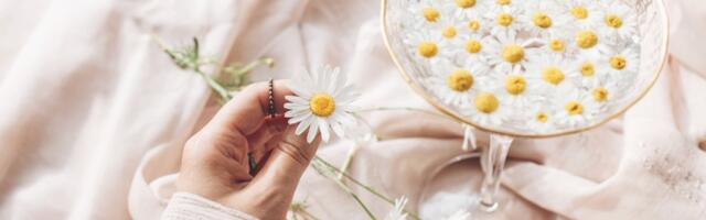 5 prednosti kamilice za negu kože