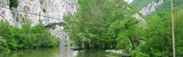 Mediji: Pomor ribe na Zapadnoj Moravi kod Kraljeva