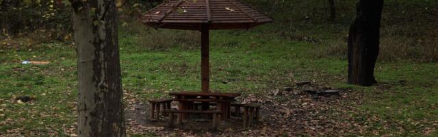 Zelena oaza nedaleko od gradskog centra: Ova šuma važi za jedno od omiljenih izletišta Beograđana