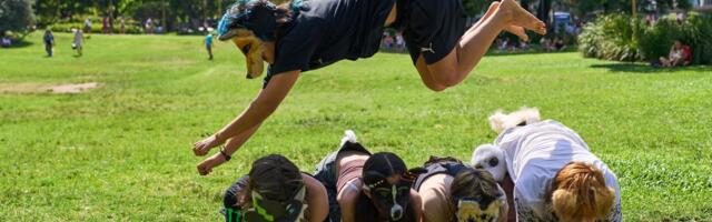 Trend terijanaca preplavio i Argentinu: Tinejdžeri imitiraju pse i mačke, roditelji i psiholozi zabrinuti