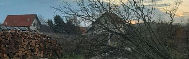 Upaljen alarm! Srbiji prete olujni vetrovi od 70km/h, mogu čupati drveće! U ovom delu biće najjači udari