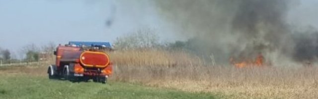 MEŠTANI PALILI RASTINJE, BUKNUO POŽAR! VATRA SE PROŠIRILA DO OBLIŽNJIH KUĆA! Vatrogasci se sat vremena borili sa vatrenom stihijom u Žablju! (FOTO)