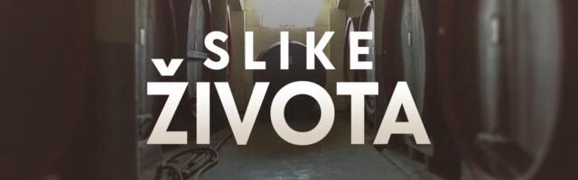 Slike života: Iz korova zaborava