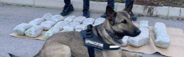 SLUŽBENI PAS JE POTVRDIO SUMNJU CARINIKA! Detaljan pregled "nabudženog" forda otkrio je BUNKER U ZADNJEM BRANIKU (FOTO)