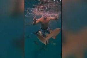Стефан Момчиловић - пливање с ајкулама по укусу „инстант" генерације