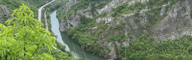 68 godina bez beloglavog supa u Sićevačkoj klisuri i plan za njegov povratak