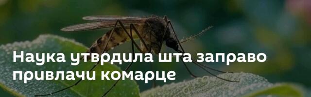 Наука утврдила шта заправо привлачи комарце