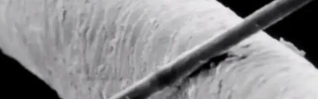 Naučnik slučajno napravio bateriju koja traje zauvek