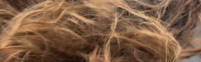 KOSA KAO PTIČJE GNEZDO: Supruga Slobe Radanovića ušla kao jedna osoba u salon, izašla kao druga!