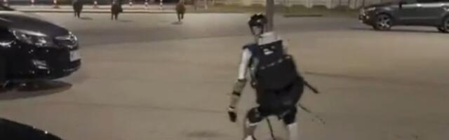 VIDEO: U Varšavi robot jurio čopor divljih svinja