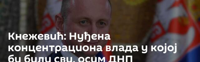 Кнежевић: Нуђена концентрациона влада у којој би били сви, осим ДНП