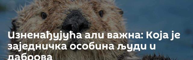 Изненађујућа али важна: Која је заједничка особина људи и даброва
