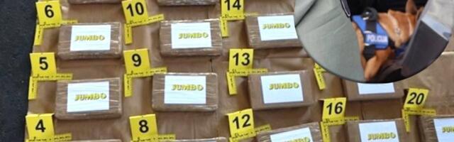 Više od 100 kilograma kokaina u drvenim daskama tikovine! Devet osoba uhapšeno u Austriji među njima Srbi