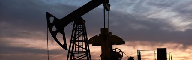 Da li je ekonomski protekcionizam dobar za Rusiju?