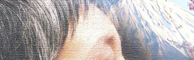 Predavanje o Japanu u Gradskoj biblioteci