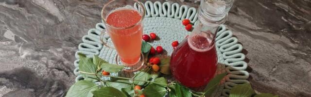 Napravite 2 litre najmoćnijeg prirodnog eliksira za samo 200 dinara (FOTO)