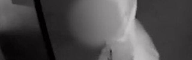 (FOTO) Maloletnik opljačkao agenciju za nekretnine: Razbojništvo u Novom Sadu