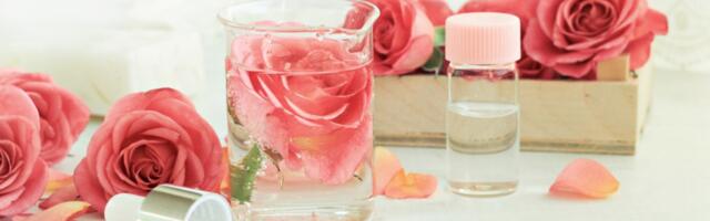 Napravite domaći tonik od ruže