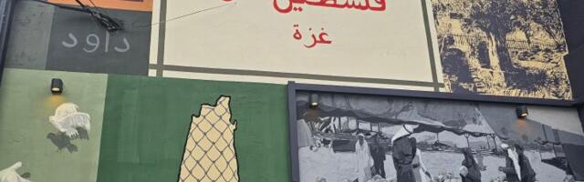 Poruke podrške Palestini osvanule na zidovima Novog Pazara (VIDEO)