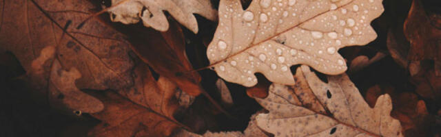 Стиже захлађење: киша данас, снег ноћас на западу и југу Србије