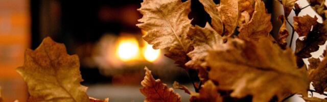 Kada se po pravilu ide po badnjak?