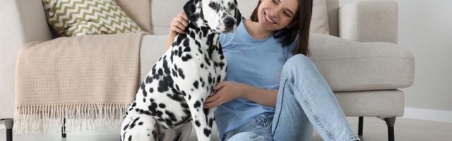 Vaš pas postao je naporan i "bezobrazan", jer duže ostajete na poslu: Evo zbog čega ste baš VI KRIVI