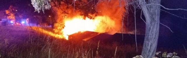 OGROMNE KAZNE! Pre nego odlučite da zapalite rastinje ili roštilj na otvorenom PROVERITE DA LI IMATE OD 10.000 DO MILION DINARA