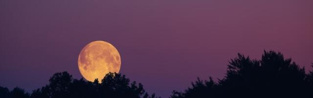 Mesec je ušao u Škorpiju! 3 znaka doživljavaju transformaciju