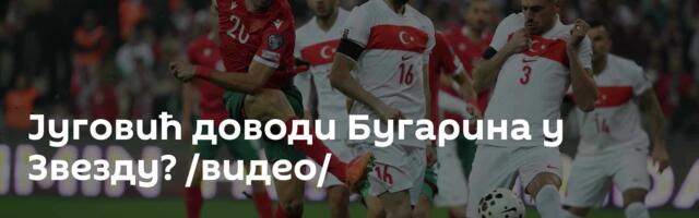 Југовић доводи Бугарина у Звезду? /видео/