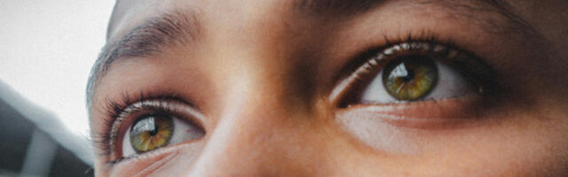 Može li se povratiti izgubljeni vid? Veliko otkriće otvara vrata novim terapijama