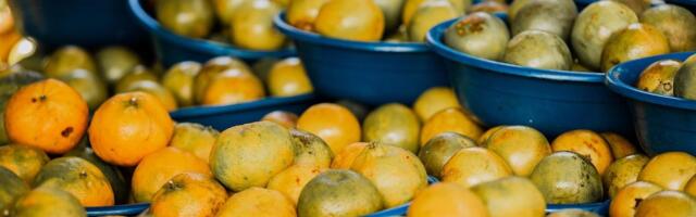 Zvali su ljude da beru besplatno, sve je propalo: Zemlja ostala prekrivena voćem, ugrožena sledeća sezona?