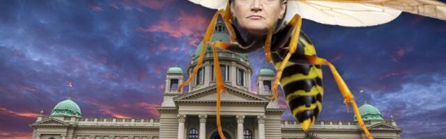 OVO NIJE ZA SMEH Ana Brnabić - opasna pčelica SNS