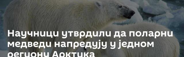 Научници утврдили да поларни медведи напредују у једном региону Арктика