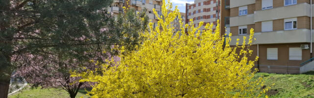 Za Uskrs moguć i sneg: Stiže nam osetno zahlađenje, tokom praznika se očekuju padavine