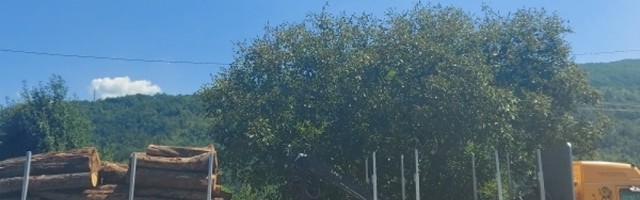 Prijatelj molio Muju da mu pomogne da istovari drva, a on mu se požali kako je bolestan...