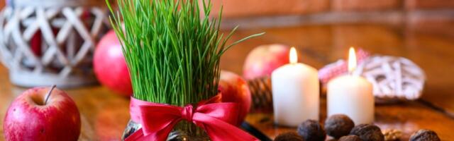 Posadite božićnu pšenicu baš na OVAJ DAN: Sreća će ući u vaš DOM