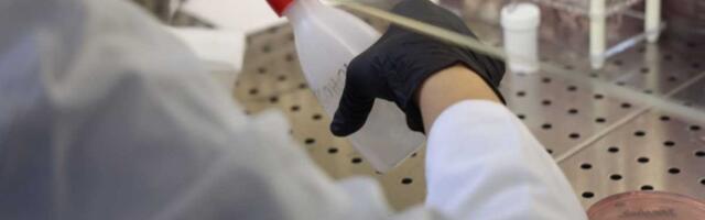 BATUT OBJAVIO KAKO ĆE RADITI ZA PRAZNIKE: Ovo je radno vreme Instituta za javno zdravlje