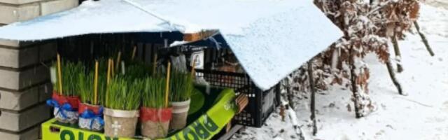 Priča iz Valjeva: Ovaj dečak raste u dobrog čoveka