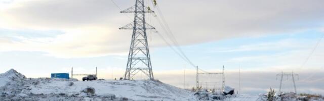 Direktor “Elektrodistribiucije“ Loznica: Tri advokatske kancelarije iz Čačka naplatile 300 miliona odštete za seču drveća u zoni dalekovoda