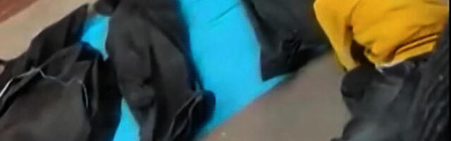 POTRESNI PRIZORI IZ IRANA, JECAJI ODZVANJAJU GRADOM: Tela ostavljena da leže na zemlji, svet ovo ne pamti!