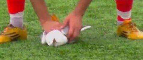 GOLMAN ISPUCAO LOPTU I POGODIO GALEBA! Usledila je neviđena drama: Kapiten reanimirao nesrećnu pticu na terenu! (VIDEO)