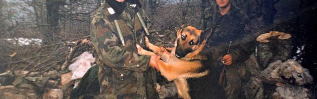 Vojnik koji je položio život za psa: Herojski čin koji i danas inspiriše