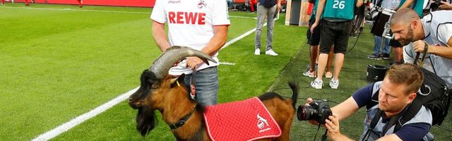 Henes posle 12 godina ne može na stadion, Keln bez najpoznatijeg fudbalskog jarca nastavlja Bundesligu